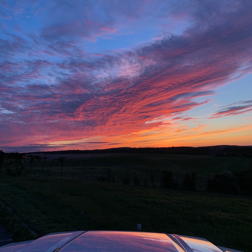 Meet your Posher, Gabby